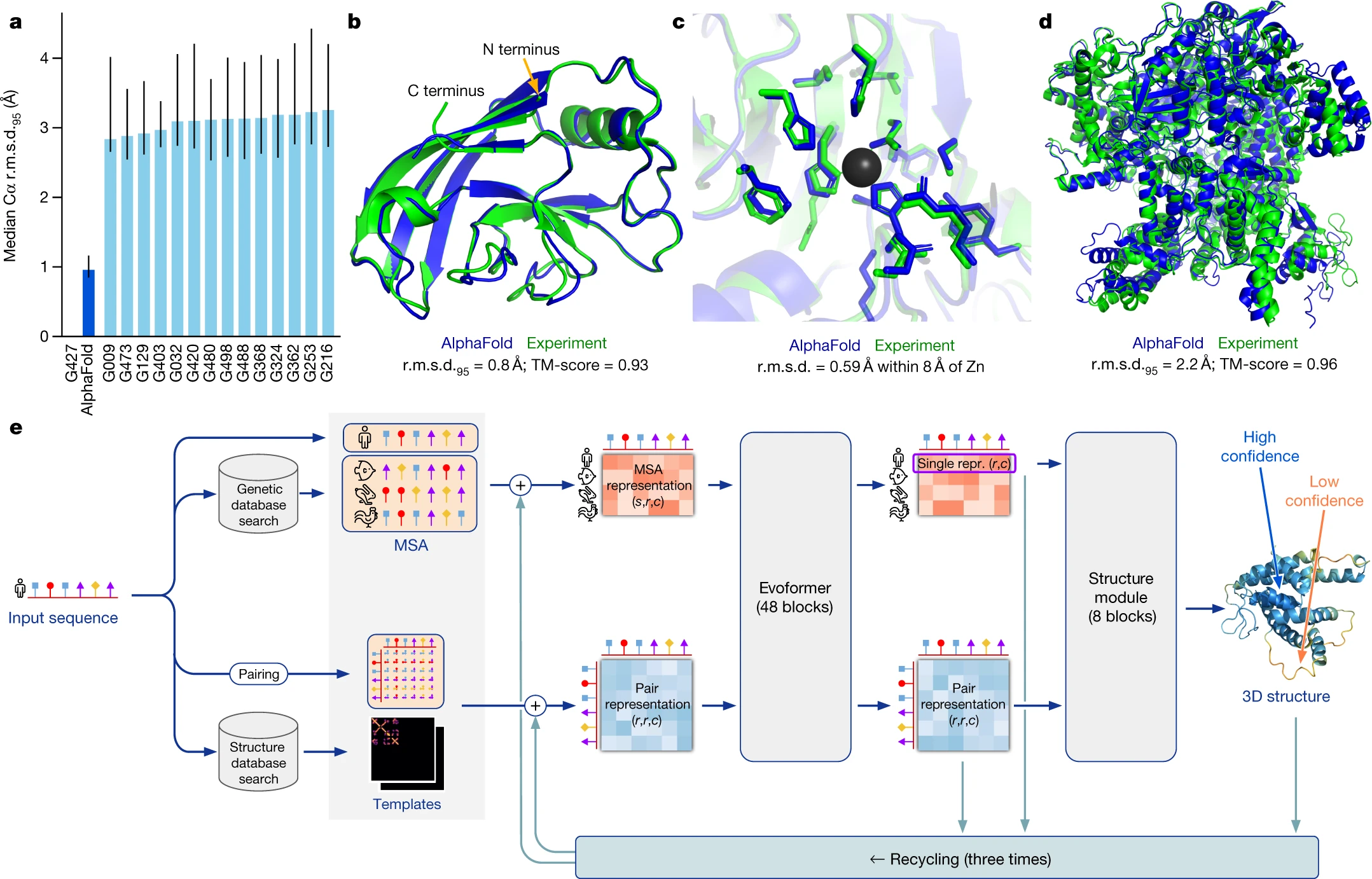 AlphaFold structure prediction