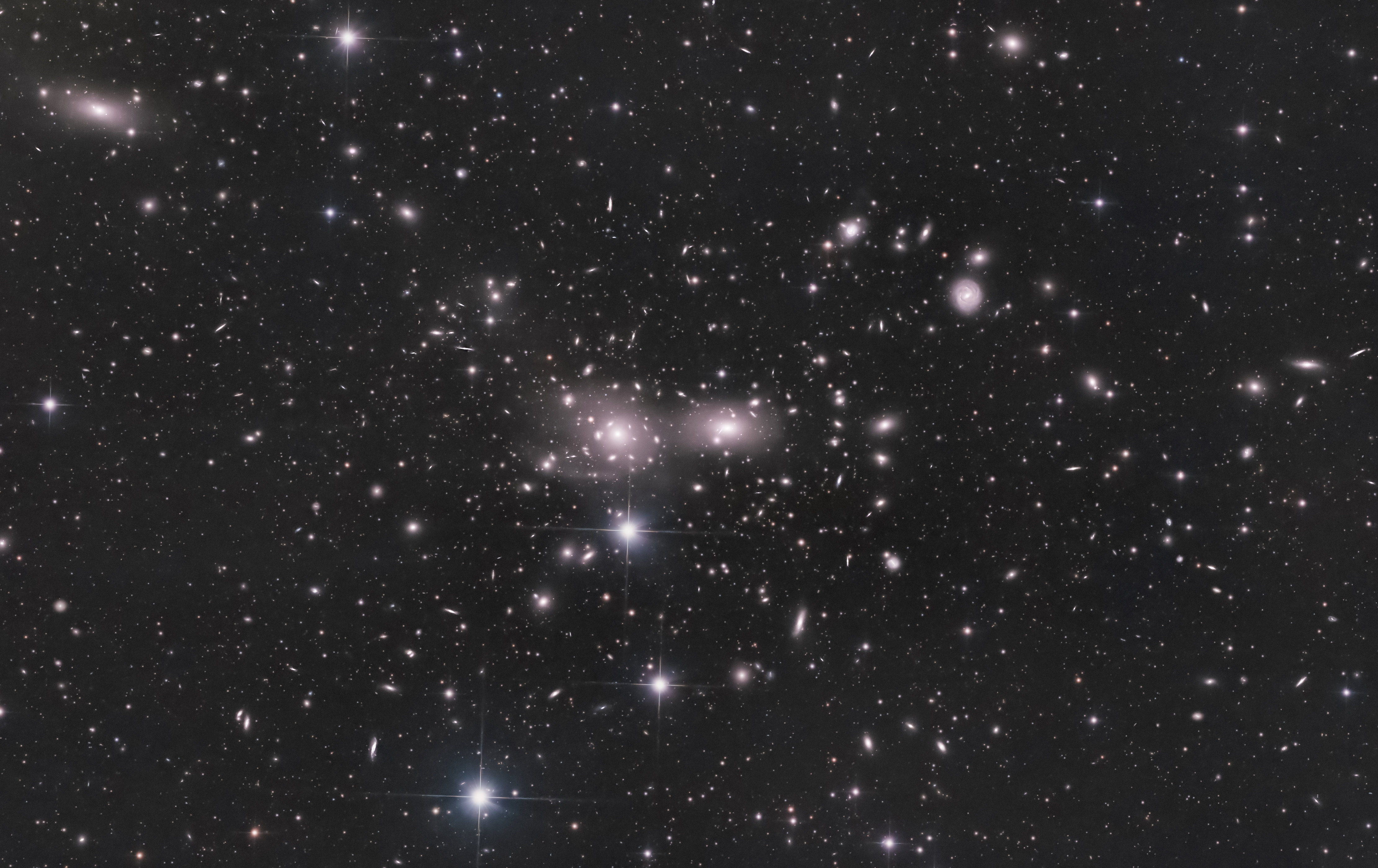Coma cluster