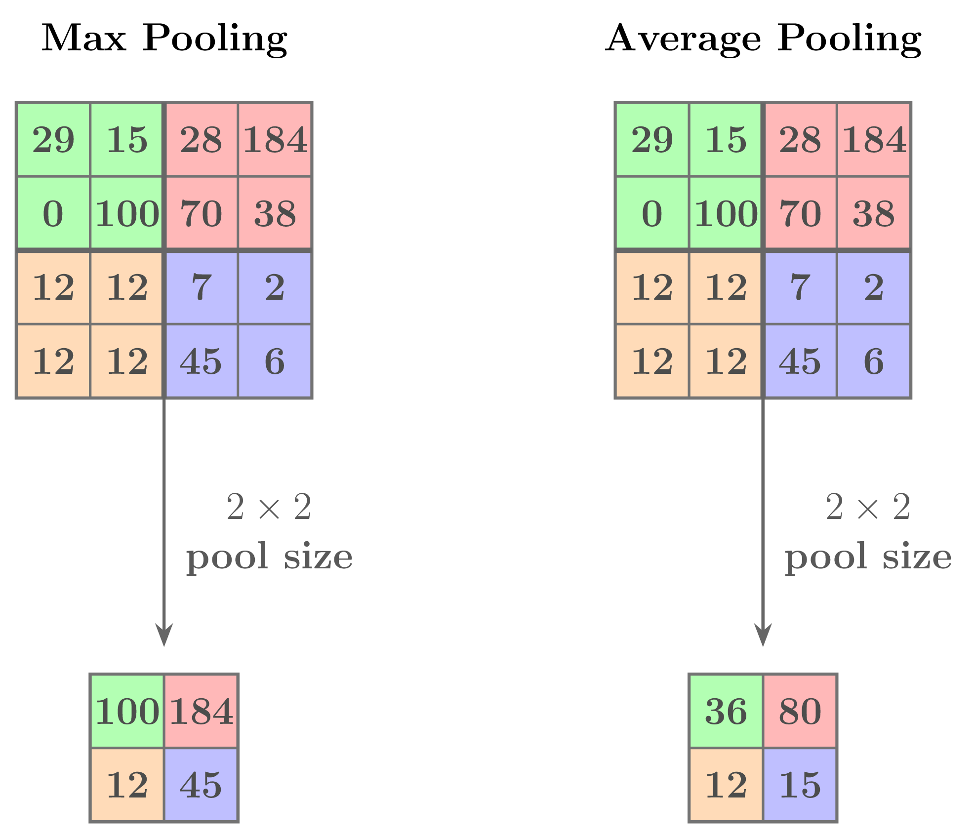 Max and average pooling