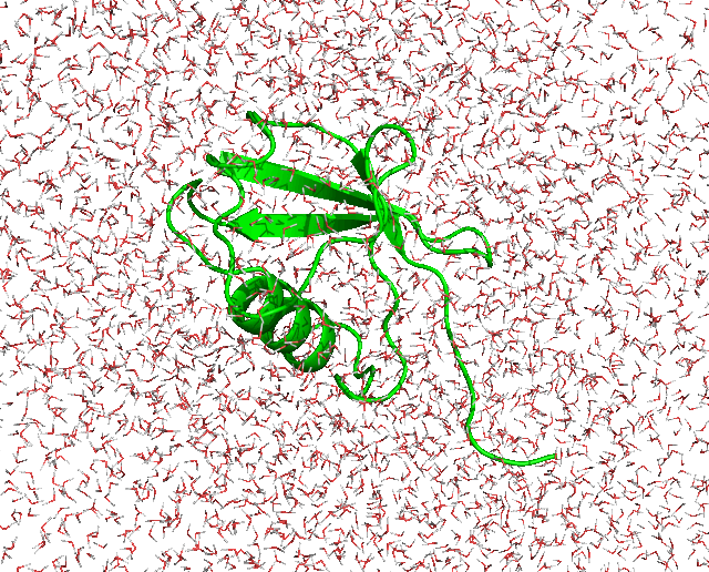 MD simulation of a protein in water