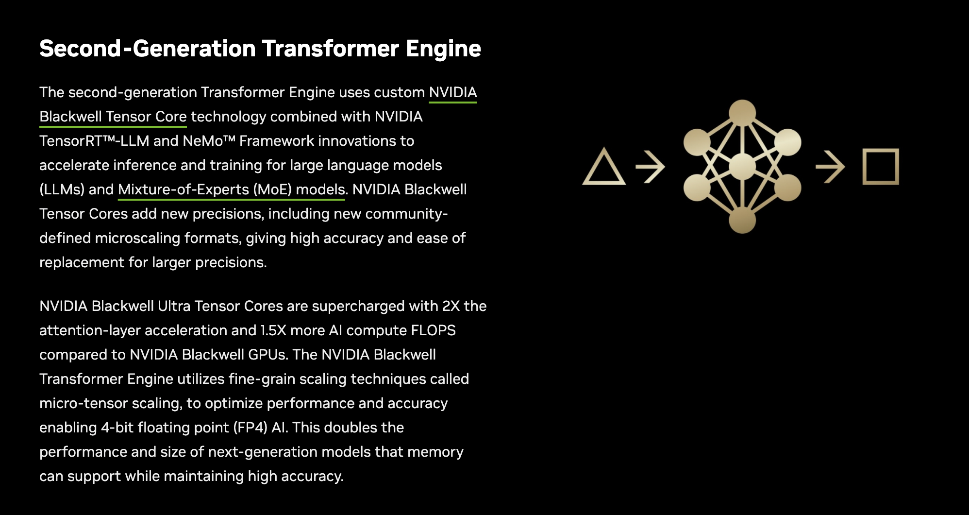 Blackwell Transformer