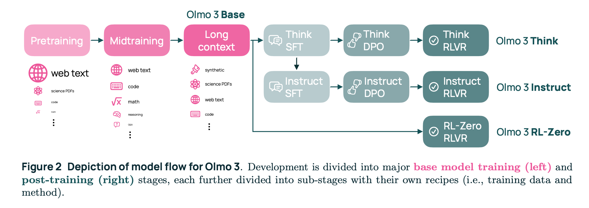 OLMo 3 training flow